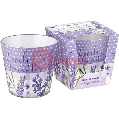 Bispol čajové svíčky maxi cinnamon 6ks 7