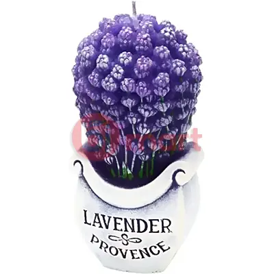 Oyakata instantní asijské nudle s příchutí pad thai v kelímku 93g 8