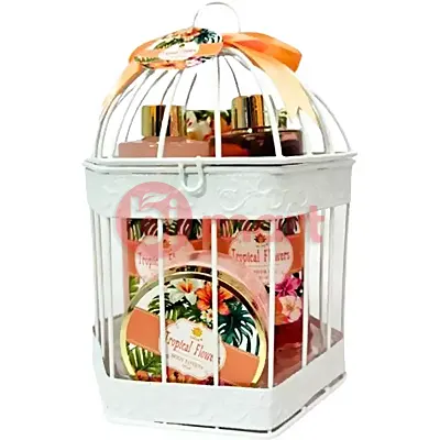 Zidac Absolute Ice ústní voda 500ml Freshmint 4